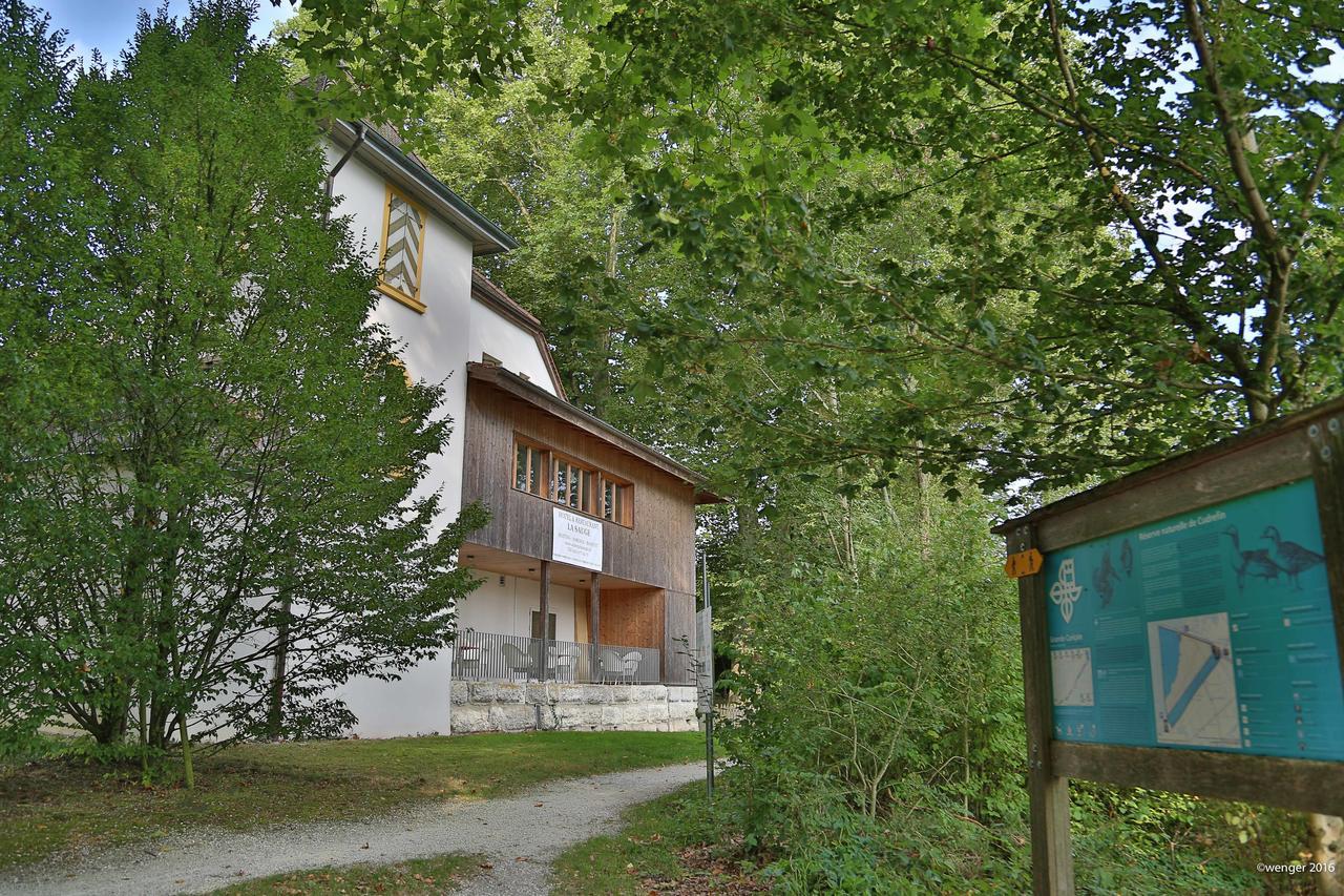 Hotel Domaine De La Sauge Cudrefin Eksteriør bilde